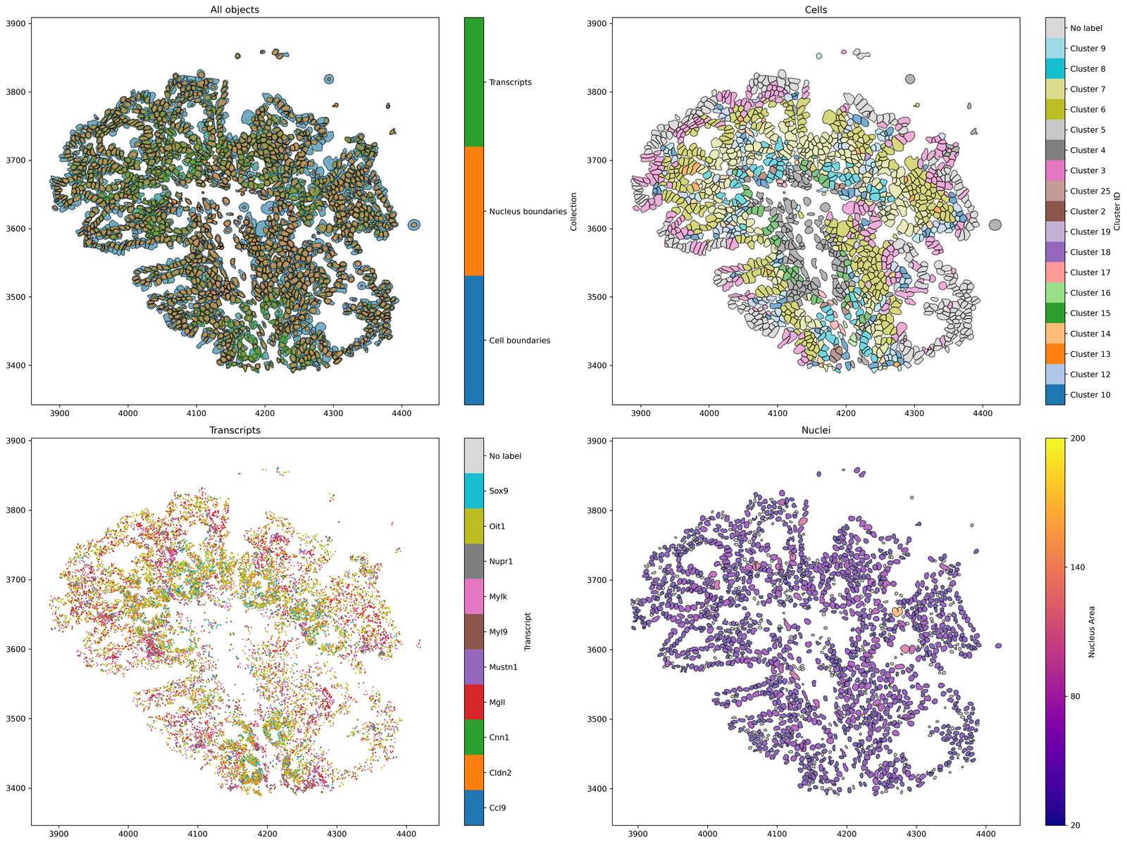 ../../_images/_collections_importing_data_Importing_a_Xenium_dataset_12_1.png