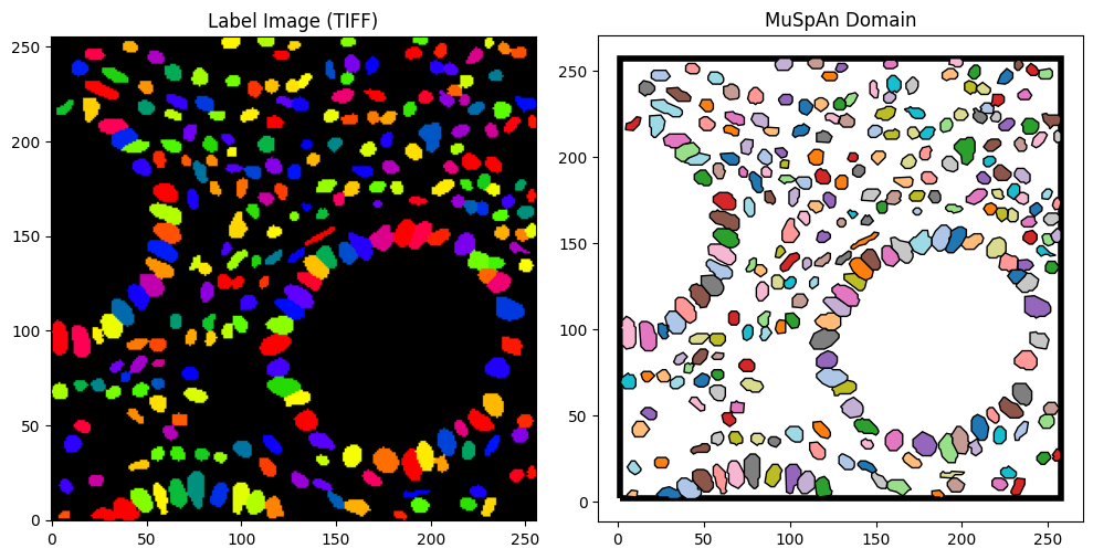 ../../_images/_collections_importing_data_Importing_from_labelled_tiff_11_1.png