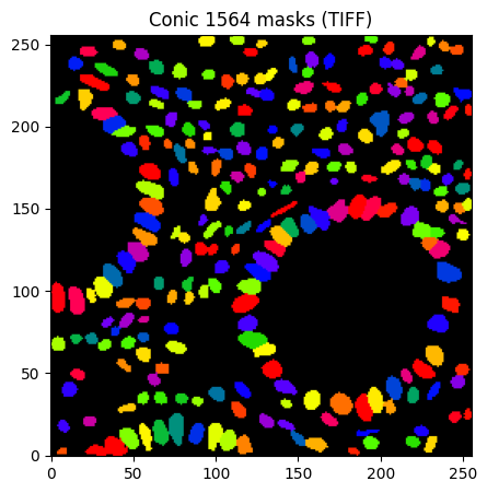 ../../_images/_collections_importing_data_Importing_from_labelled_tiff_3_1.png