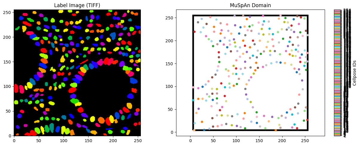 ../../_images/_collections_importing_data_Importing_from_labelled_tiff_9_1.png