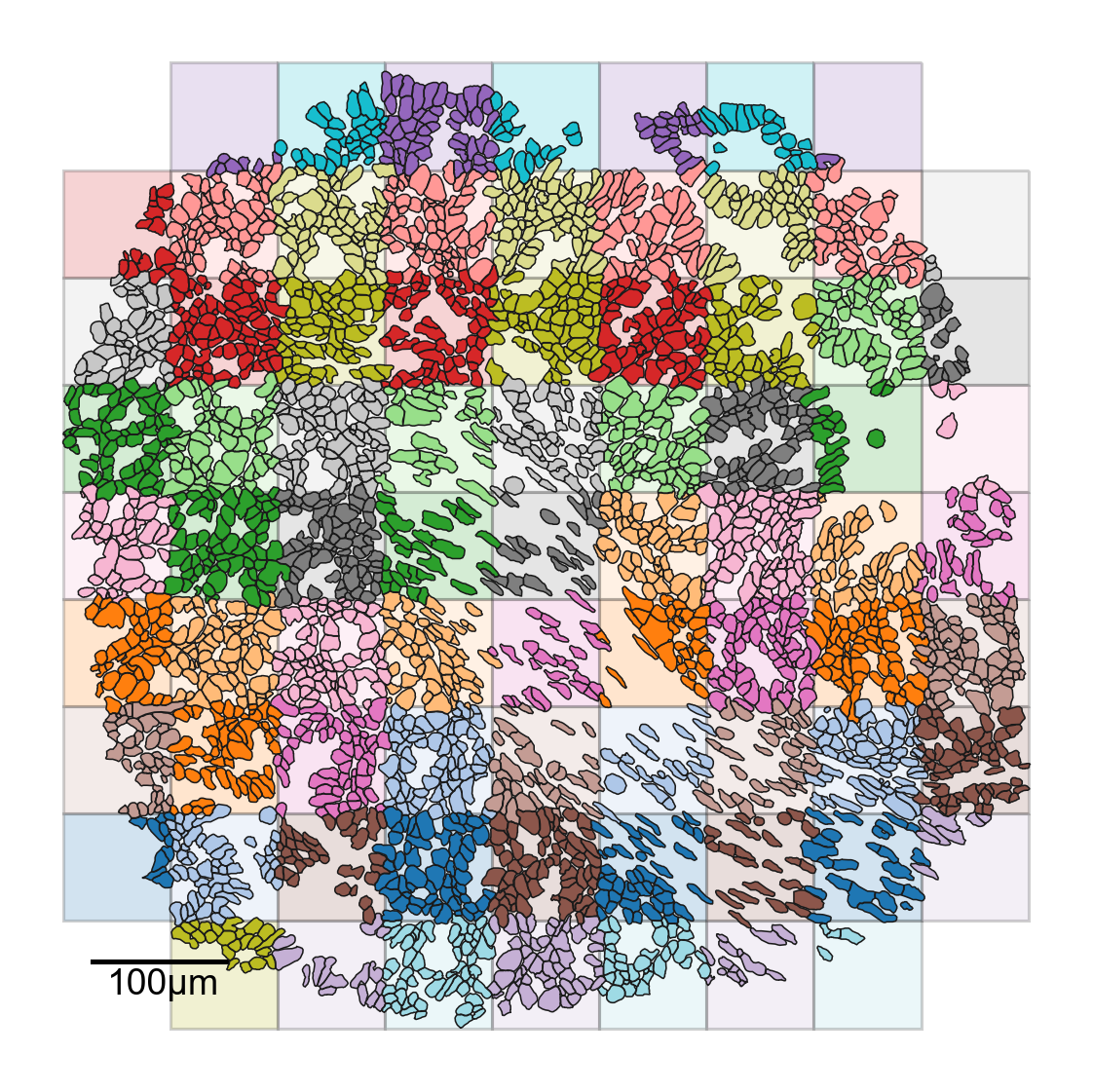 ../../_images/_collections_paper_tutorials_MuSpAn_-_Figure_3_10_1.png