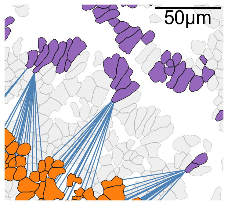 ../../_images/_collections_paper_tutorials_MuSpAn_-_Figure_3_18_1.png