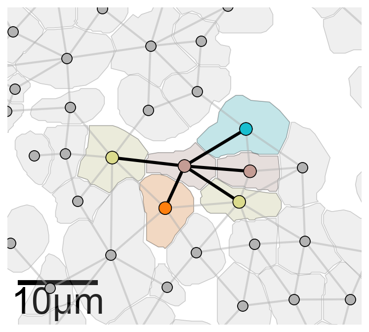 ../../_images/_collections_paper_tutorials_MuSpAn_-_Figure_3_25_0.png
