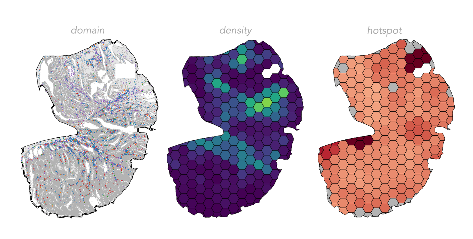 Visualisation of a hexagonal lattice overlaid on a MuSpAn domain with individual hexagons colored by density of neutrophils and Getis Ord of macrophages
