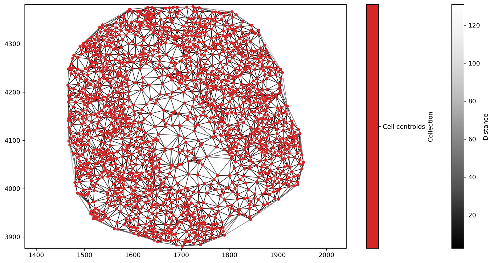 ../../_images/_collections_spatial_networks_Spatial_net_-_Creating_networks_1_15_1.png