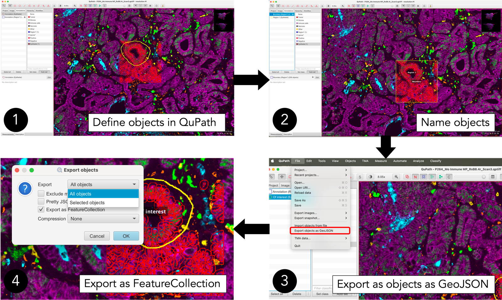 A flow chart of exporting regions of interest from QuPath