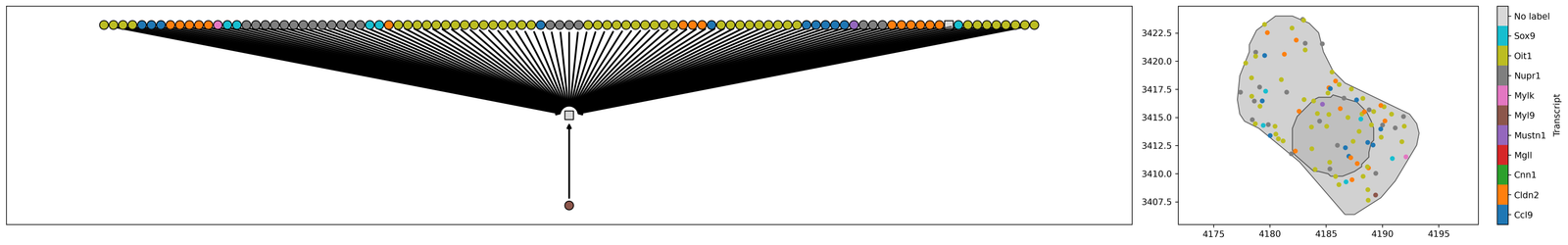 ../../_images/_collections_importing_data_Importing_a_Xenium_dataset_14_1.png