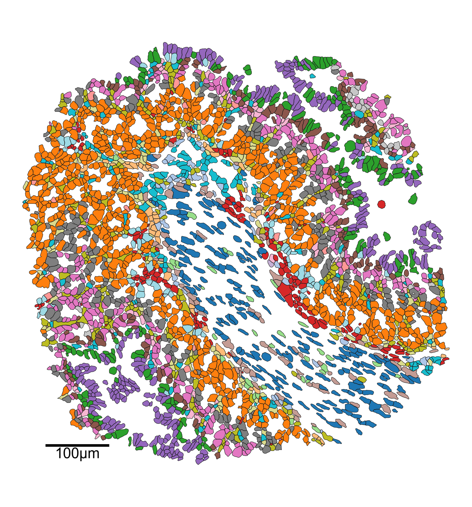 ../../_images/_collections_paper_tutorials_MuSpAn_-_Figure_3_7_1.png