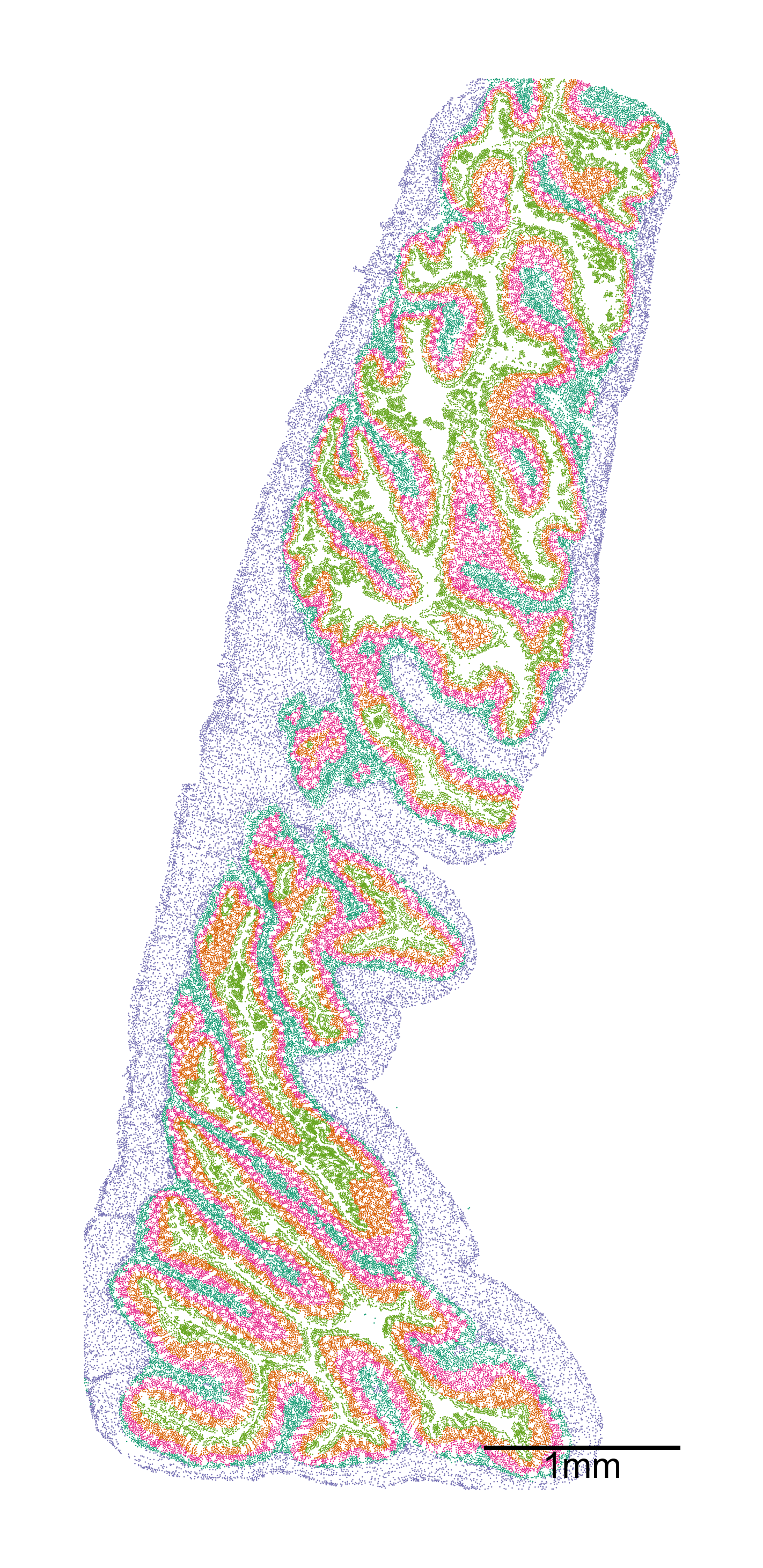 ../../_images/_collections_paper_tutorials_MuSpAn_-_Figure_5_13_1.png