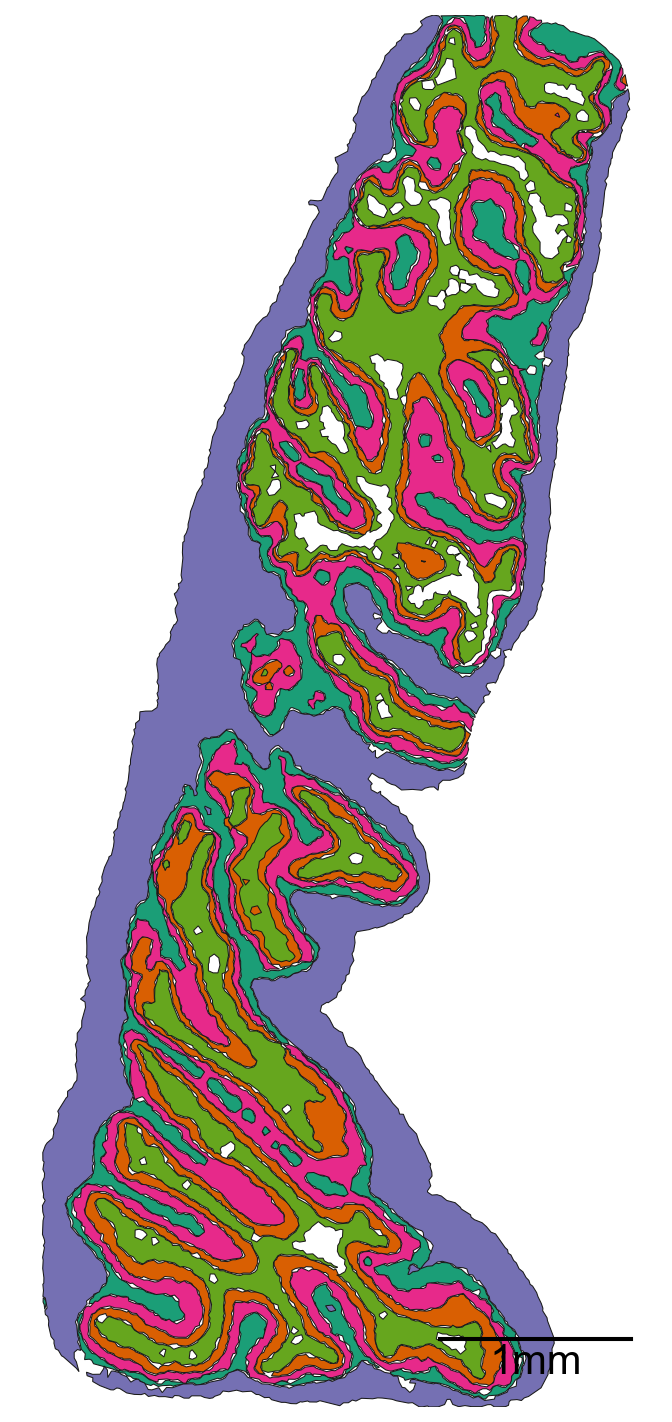 ../../_images/_collections_paper_tutorials_MuSpAn_-_Figure_5_25_1.png