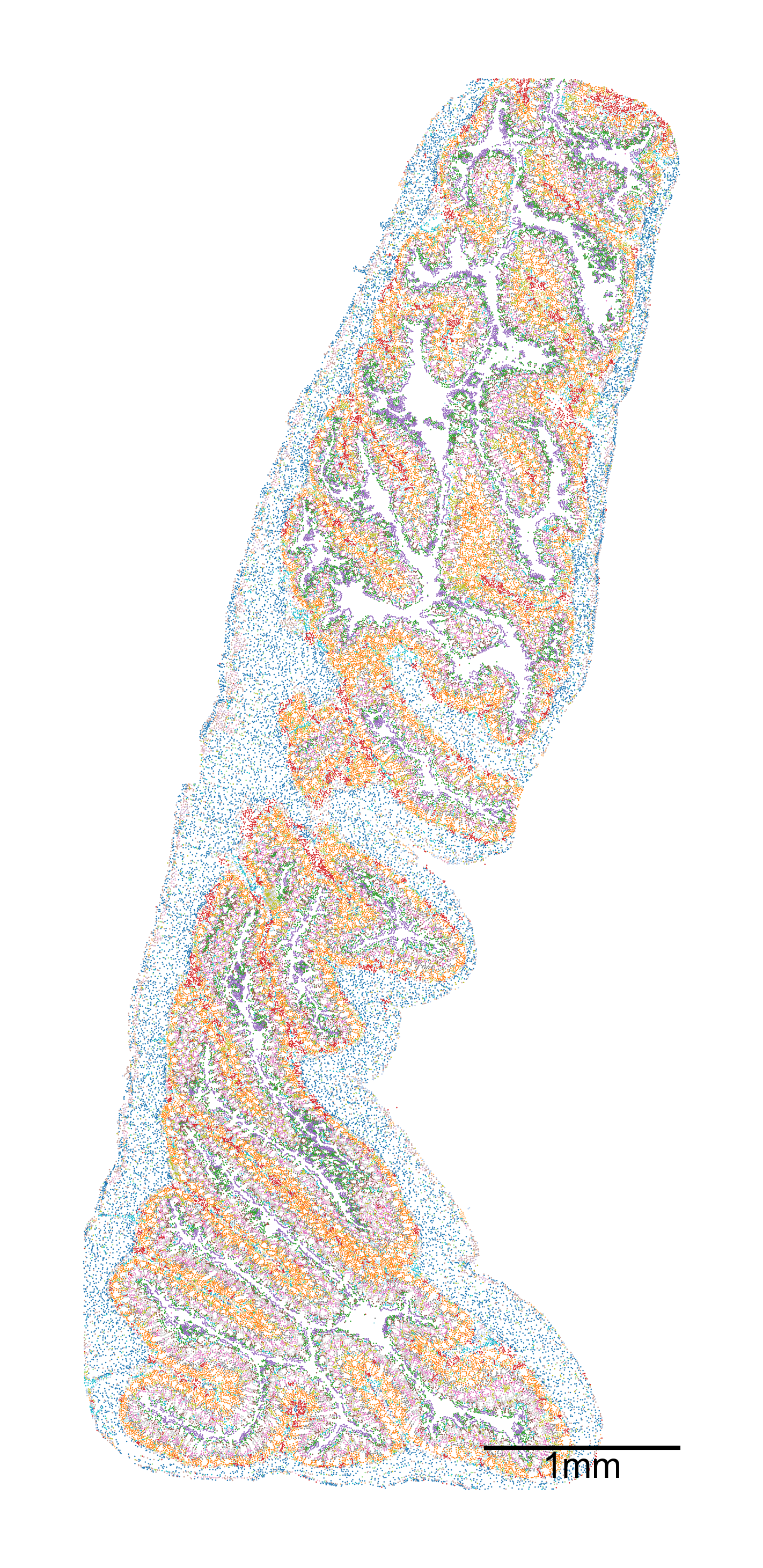 ../../_images/_collections_paper_tutorials_MuSpAn_-_Figure_5_6_1.png