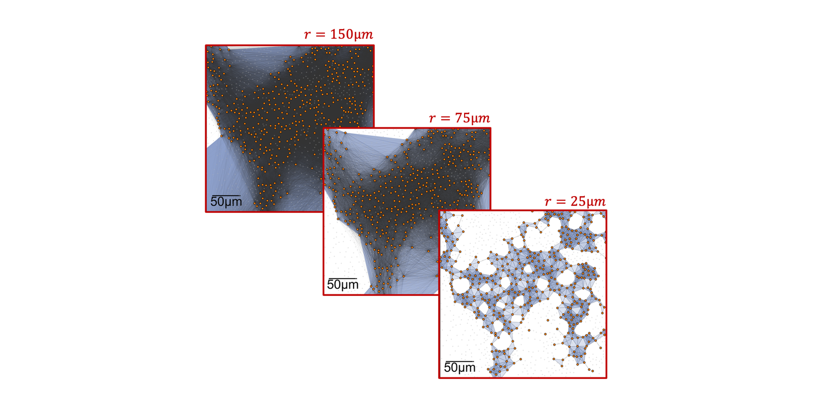 Demonstration of the stages of the underlying connectivity in a Vietoris-Rips filteration (topological data analysis) in colorectal epithelium